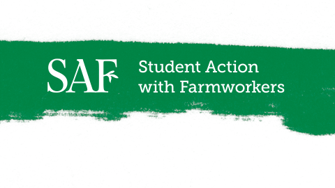 SAF Logo